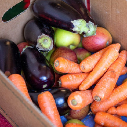 Trussell Church Online Events - Trussell Church Online Events - Explore our NEW Harvest Supper Guide, Mon 13 Jul, 4-5pm